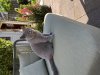 IMG_4774.jpeg