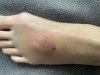 IMG_3437.jpeg