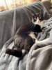 IMG_6895.jpeg
