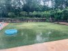 IMG_0327.jpeg