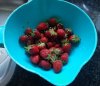 20230614_072635.jpg