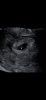 Screenshot_20230615-140042_Gallery.jpg
