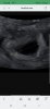 Screenshot_20230615-140051_Samsung Internet.jpg