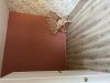 IMG_5269.jpeg