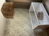 IMG_5444.jpeg