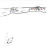 IMG_7829.jpeg