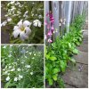 Picsart_23-06-22_19-53-23-412.jpg