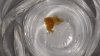IMG-20230702-WA0000.jpeg