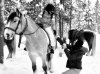 IMG_0354.jpeg