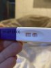 IMG_1601.jpeg