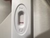 457AB932-BCDA-4D87-BA33-5FCDD4DB0D96.jpeg