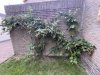 IMG_5319.jpeg