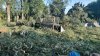 IMG_4192.jpeg