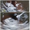 PhotoCollage_20230706_183715519.jpg