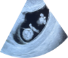 upload_2023-7-7_11-15-24.png
