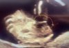 D2085BE9-39EE-4FBB-909B-0F9CEEC5807A.jpeg