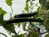 IMG_6170.jpeg