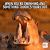 funny-memes-for-kids-uh-what-was-that.png
