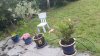 IMG-20230712-WA0001.jpeg