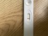 IMG_8315.jpeg