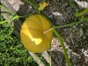 IMG_6189.jpeg