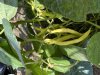 IMG_6188.jpeg