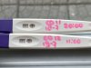 IMG_8819.jpeg