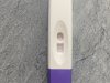 IMG_1780.jpeg