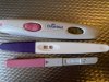 IMG_7420.jpeg