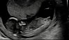 upload_2023-8-1_21-48-20.jpeg
