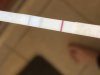 IMG_7477.jpeg