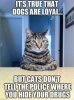 652fcc1b6189703e122da966f5bedd71.jpg