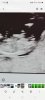 Screenshot_20230813_110222_Gallery.jpg
