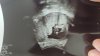 IMG-20230816-WA0007.jpeg