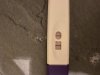 IMG_2043.jpeg