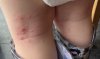 0727FFD2-A1DD-428C-BCD3-175BAA8D9364.jpeg