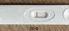 6060F7A9-3EC7-42FF-937F-EFBADA5FCB6C.jpeg