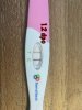 IMG_2600.jpeg