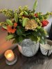 IMG_6423.jpeg