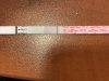 IMG_0050.jpeg