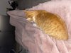 IMG_2182.jpeg