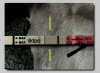 c7774c87-ebf3-462f-bd84-89943236553d.jpeg