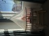 IMG_1019.jpeg