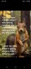 FB_IMG_1693746496916.jpg