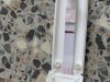 IMG_5037.jpeg