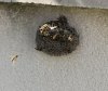 IMG_7978.jpeg