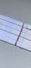 D4B174A3-5BAA-4E0F-A944-2FA4DDC8F37D.png