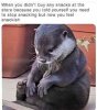 FB_IMG_1694353507612.jpg