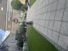 IMG_4600.jpeg