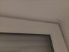 20230928_061343.jpg
